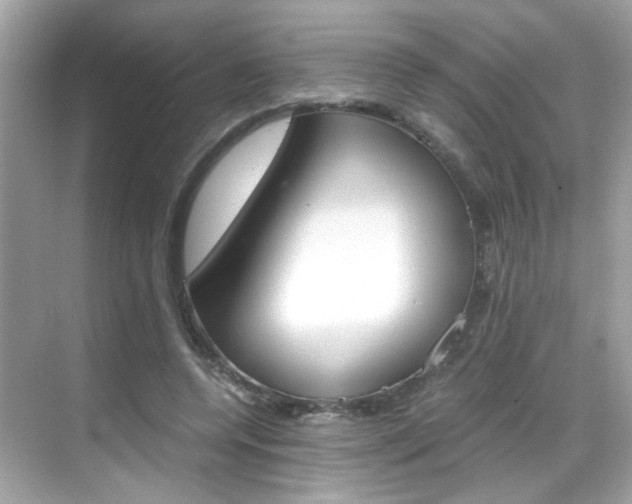 X0000069410544200605121051