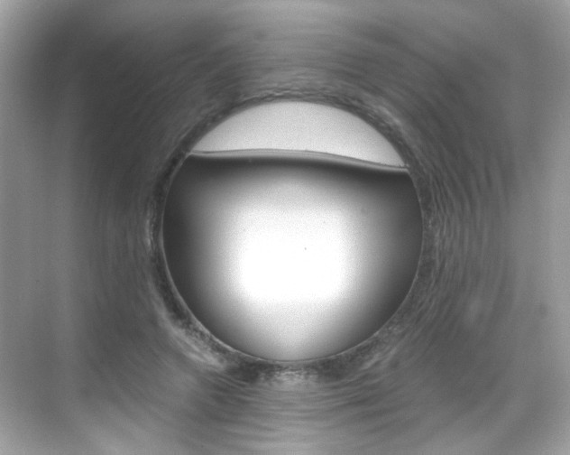 X0000069410546200605121051