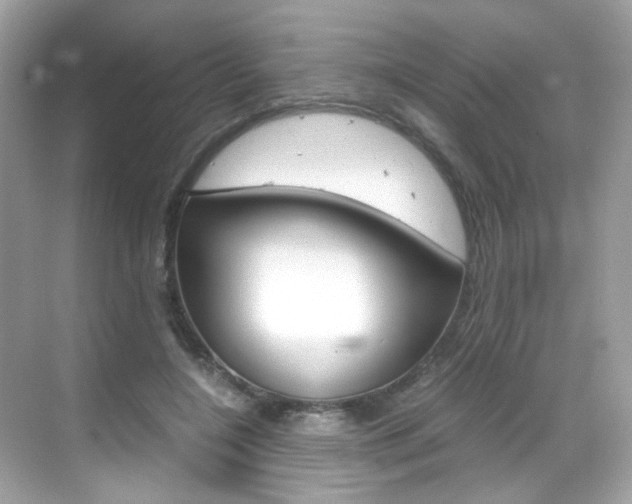 X0000069410548200605121051