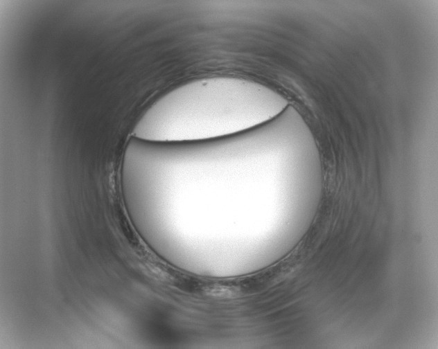 X0000069410549200605121051