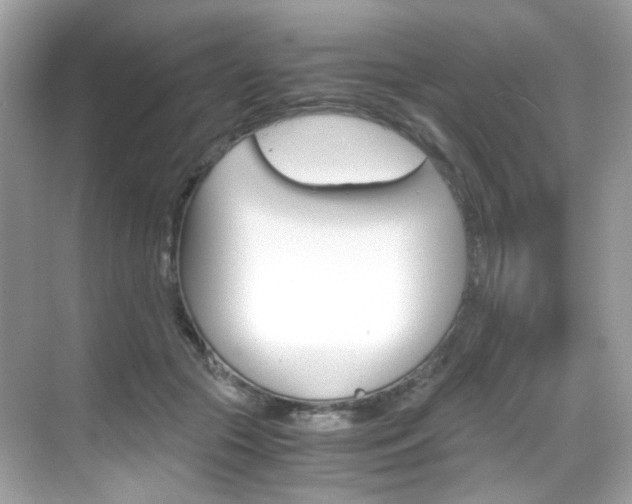 X0000069410553200605121052