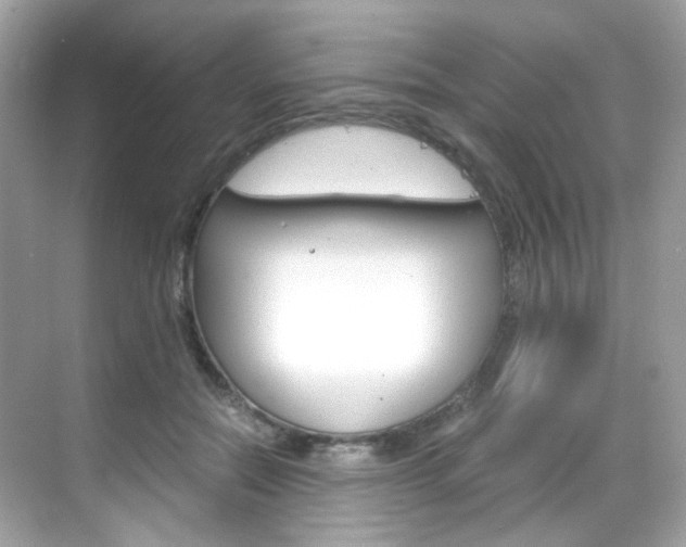 X0000069410554200605121052