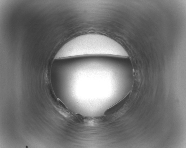 X0000069410564200605121052