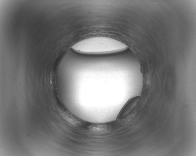 X0000069410567200605121052
