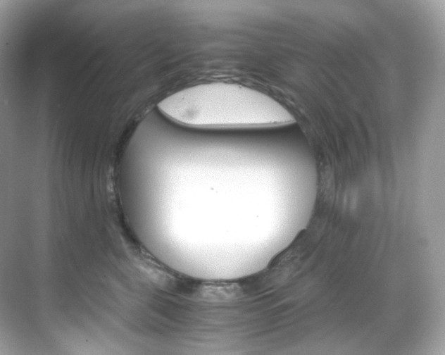 X0000069410571200605121052