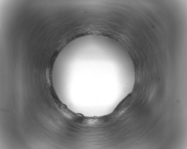 X0000069410575200605121052
