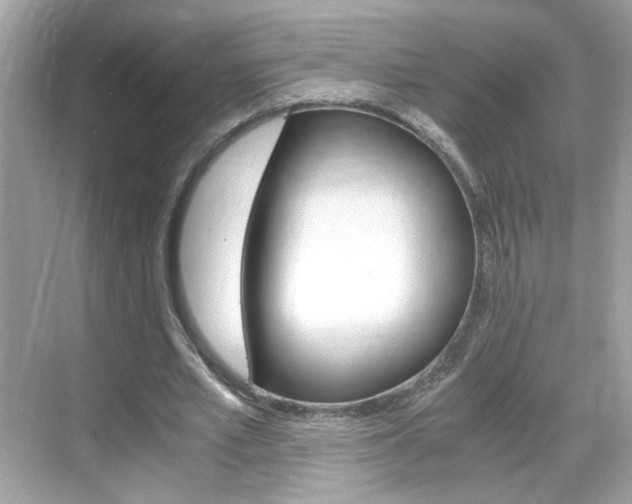 X0000069410581200605121051