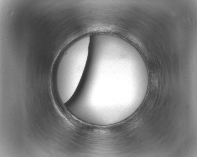 X0000069410582200605121051