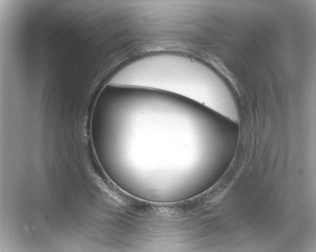 X0000069410585200605121051