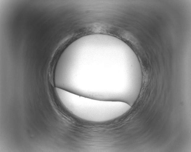 X0000069410587200605121051