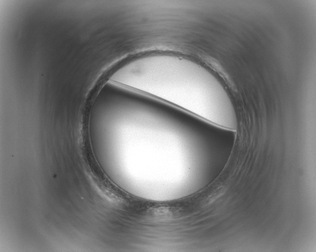X0000069410588200605121051