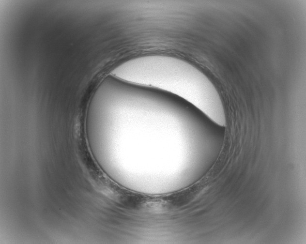 X0000069410595200605121051