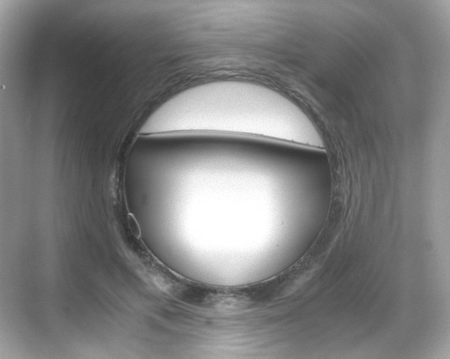 X0000069410597200605121051