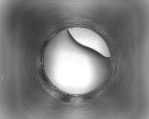 X0000069410599200605121051