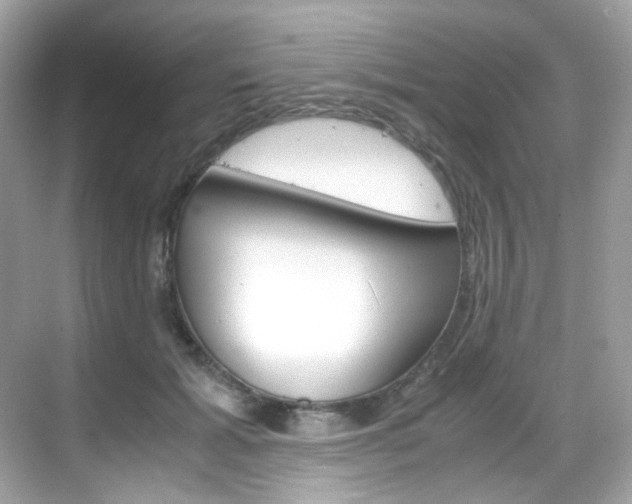 X0000069410605200605121051