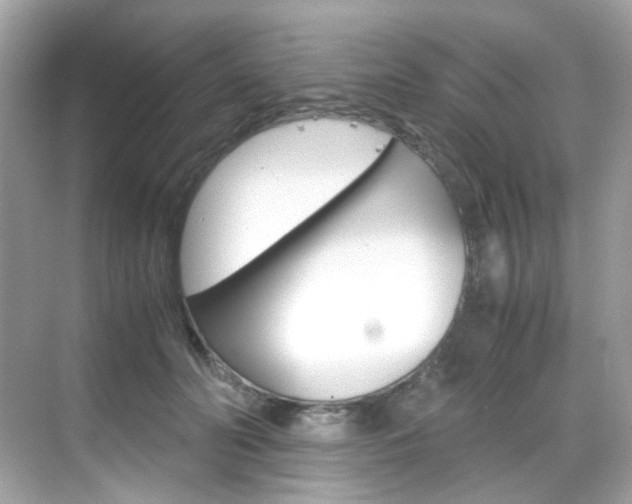X0000069410606200605121051