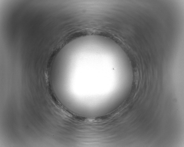 X0000069410613200605121051