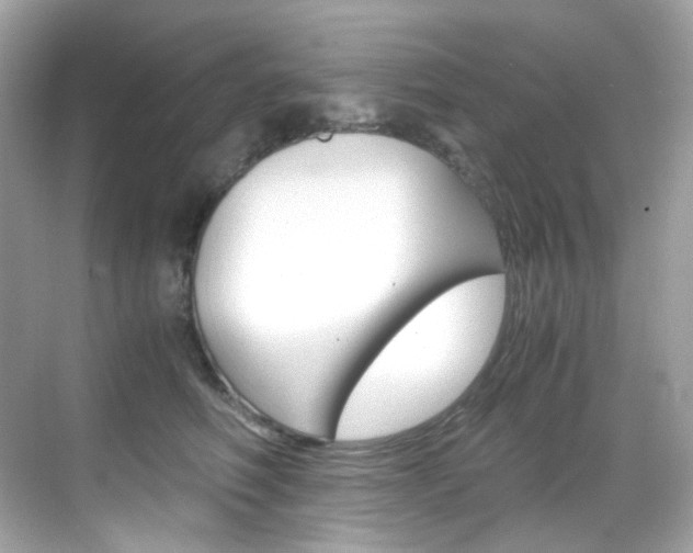 X0000069410614200605121050