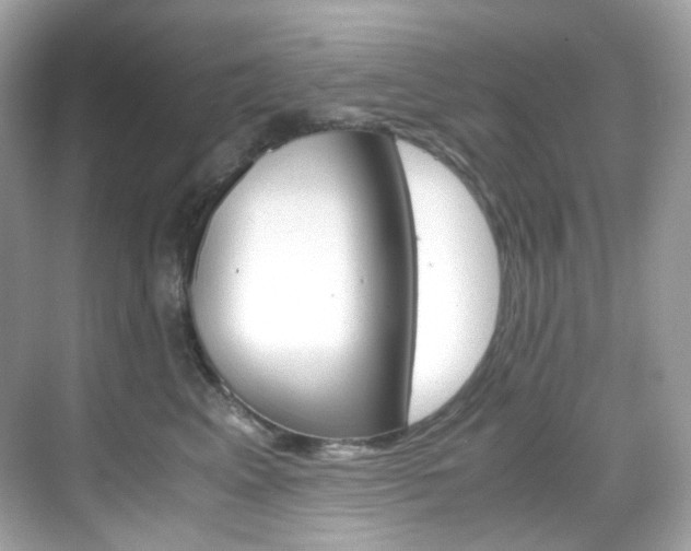 X0000069410617200605121050