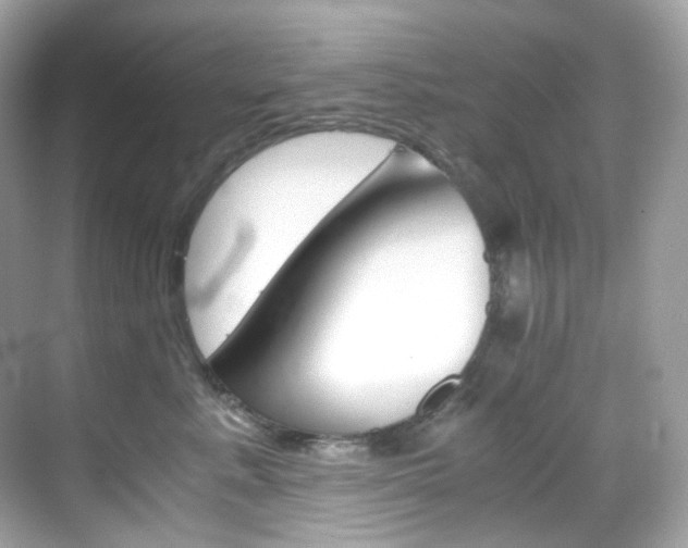 X0000069410619200605121050
