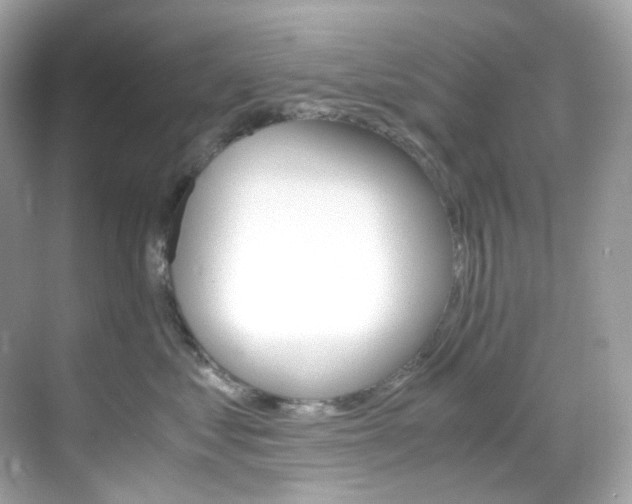 X0000069410621200605121050