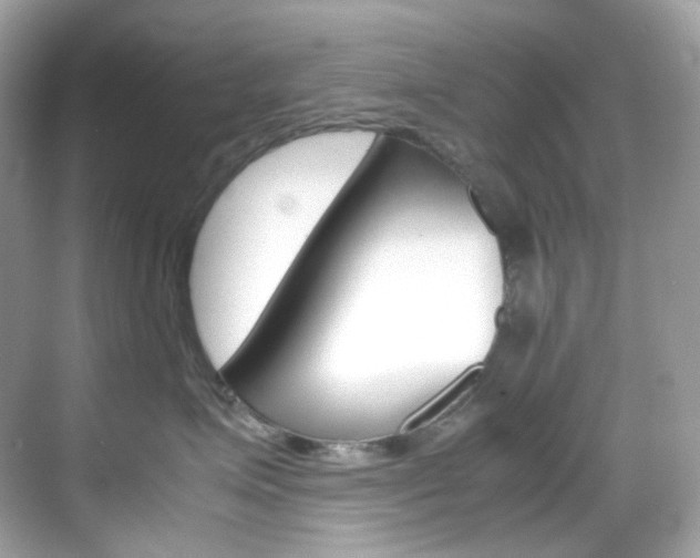 X0000069410623200605121050