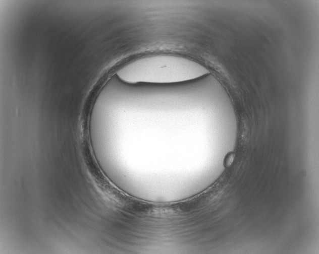 X0000069410636200605121050