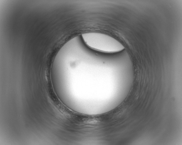 X0000069410643200605121050