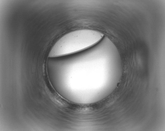 X0000069410646200605121050