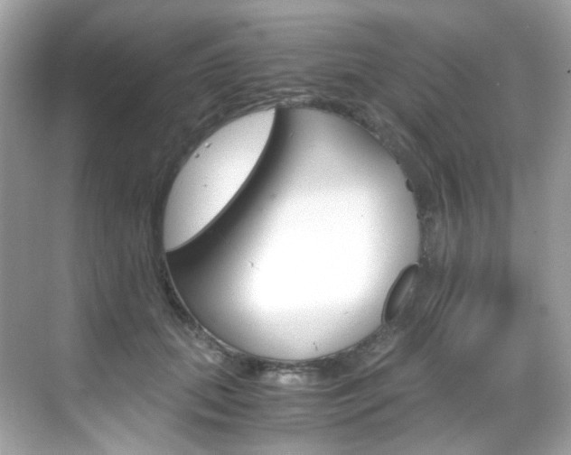 X0000069410655200605121050