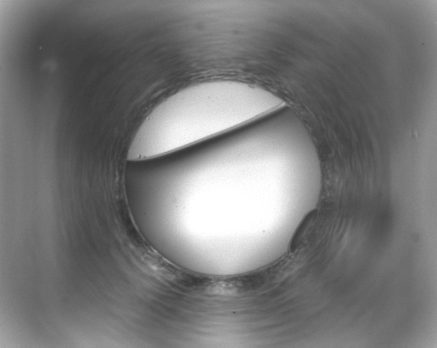X0000069410656200605121050