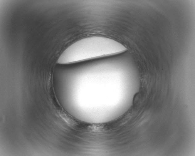 X0000069410660200605121050