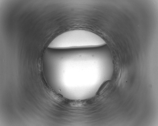 X0000069410661200605121050