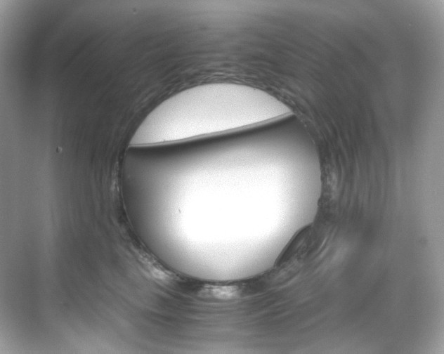 X0000069410665200605121050