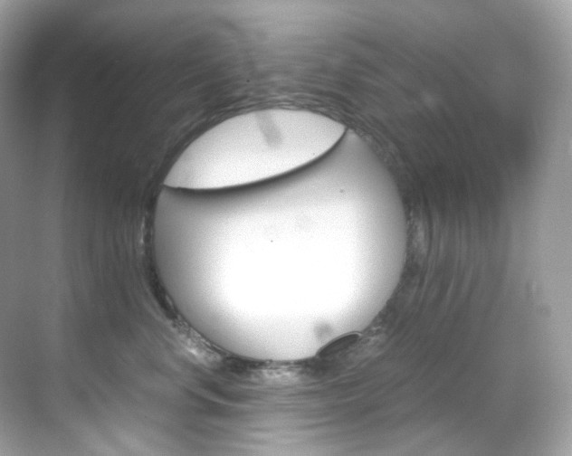 X0000069410668200605121050
