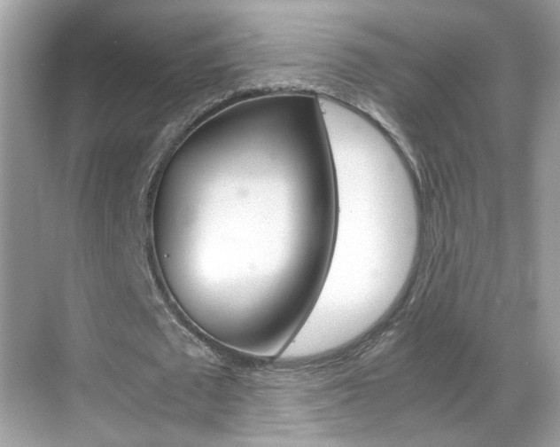 X0000069410673200605121050