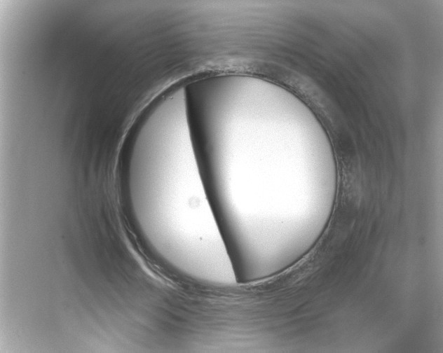 X0000069410674200605121049