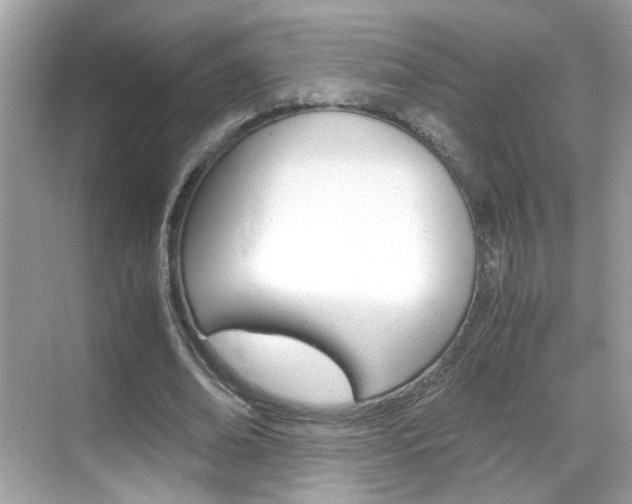 X0000069410678200605121049
