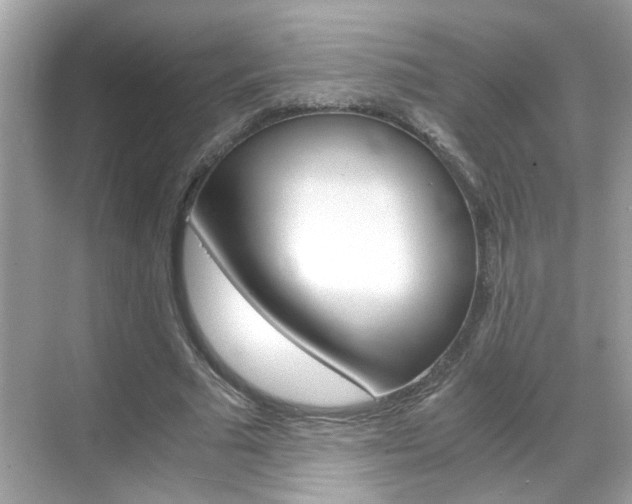 X0000069410681200605121049