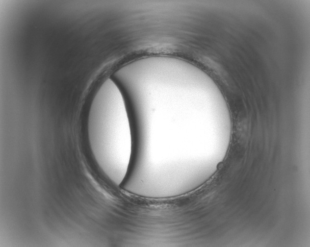 X0000069410686200605121049