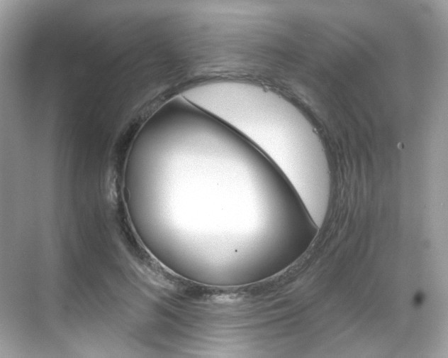 X0000069410692200605121049