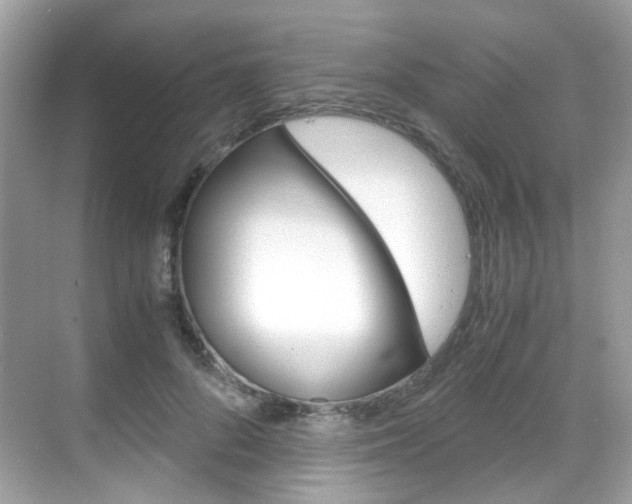 X0000069410696200605121049