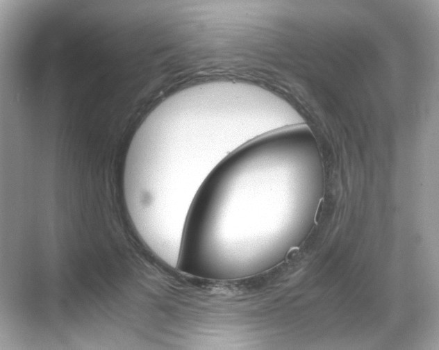 X0000069410697200605121049