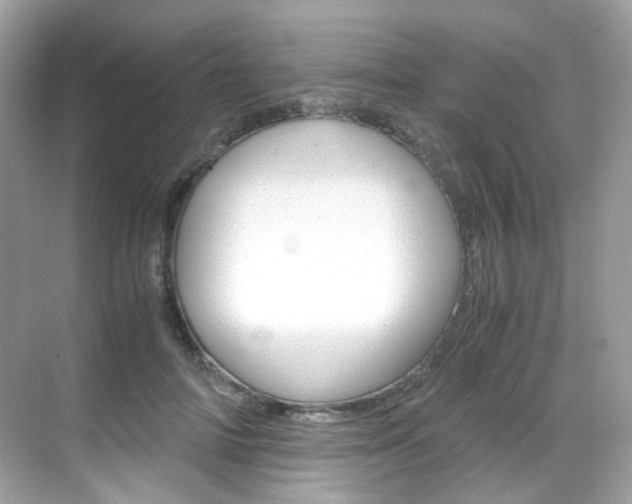 X0000069410698200605121049