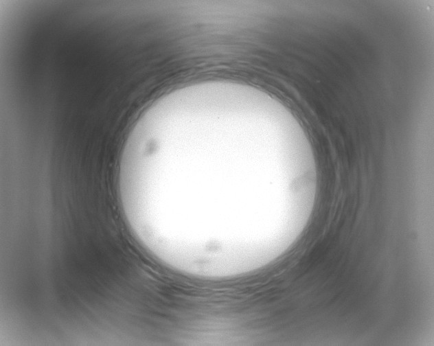 X0000069410701200605121049
