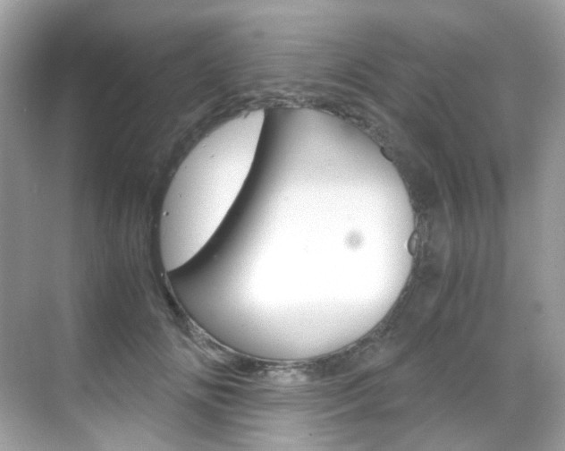 X0000069410702200605121049