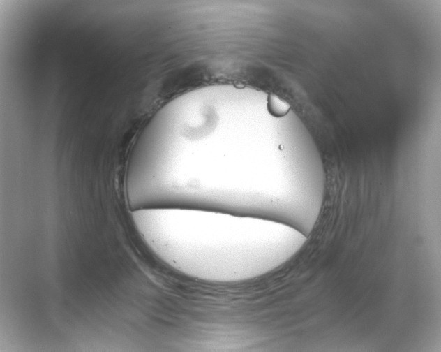 X0000069410703200605121049