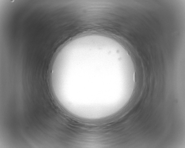 X0000069410705200605121049