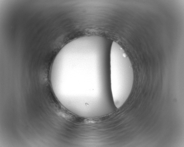 X0000069410706200605121049