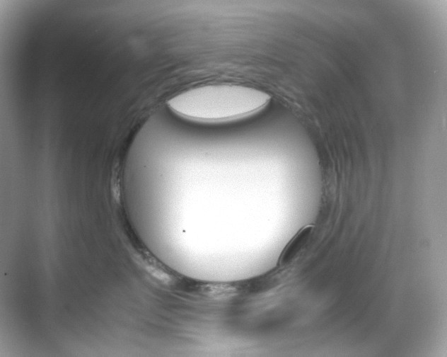 X0000069410719200605121049